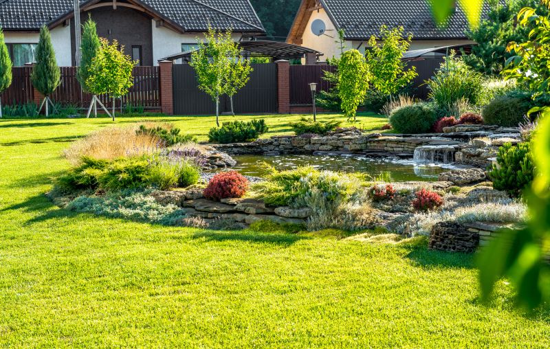 Pond Maintenance
