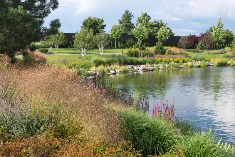 Pond Maintenance