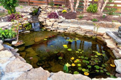 Fish Pond Installation in Honolulu, HI