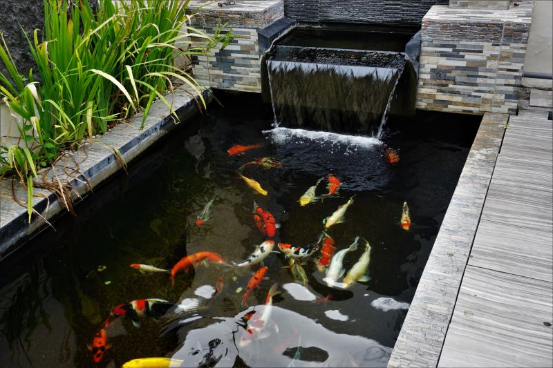Koi Pond Construction in Ventura County, CA