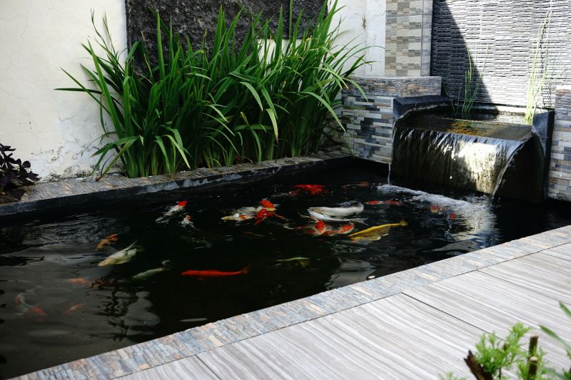 Koi Pond Installation in Honolulu, HI