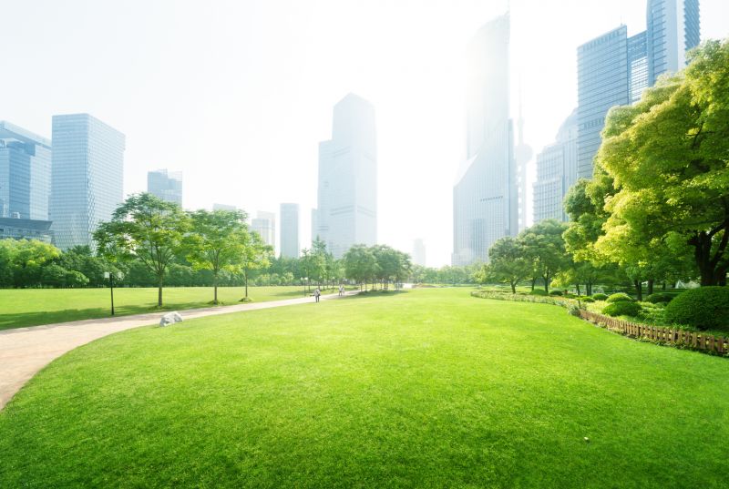 Park Landscape Maintenance in Honolulu, HI