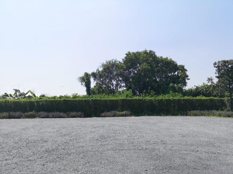 Yard Sloping in Houston, TX