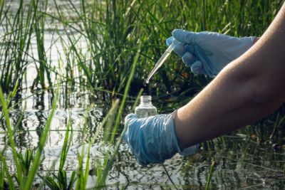 Get Your Pond Water Tested!