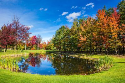 Keep Your Pond Clean and Healthy!