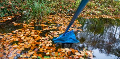 Remove Debris from the Pond!